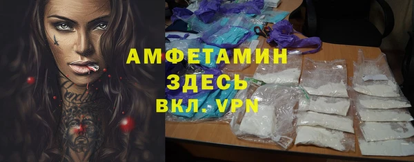 стафф Касимов