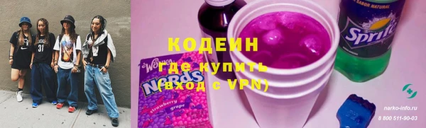 стафф Касимов