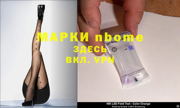 стафф Касимов