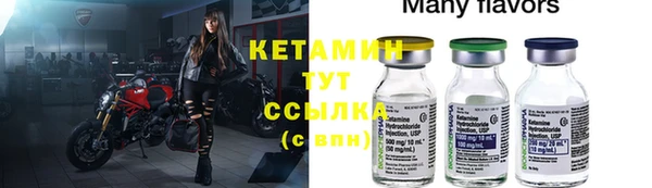 стафф Касимов