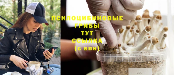 молекула духа Карталы