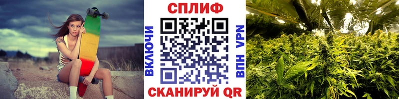 Марихуана VHQ  Купить закладки  Лахденпохья 